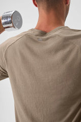 Triumph Raglan Tee - Gravel